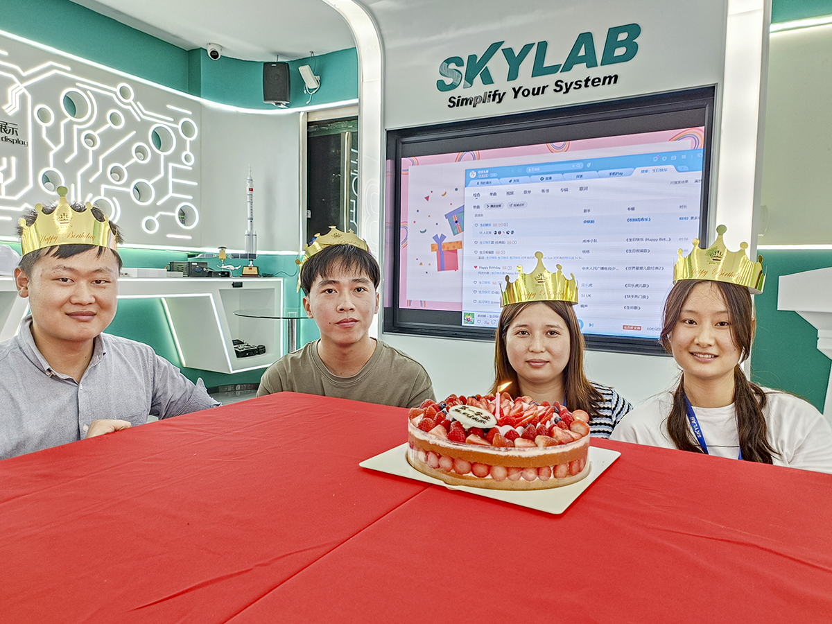 赴一场春日之约|SKYLAB 2023年第一季度生日会、迎新会